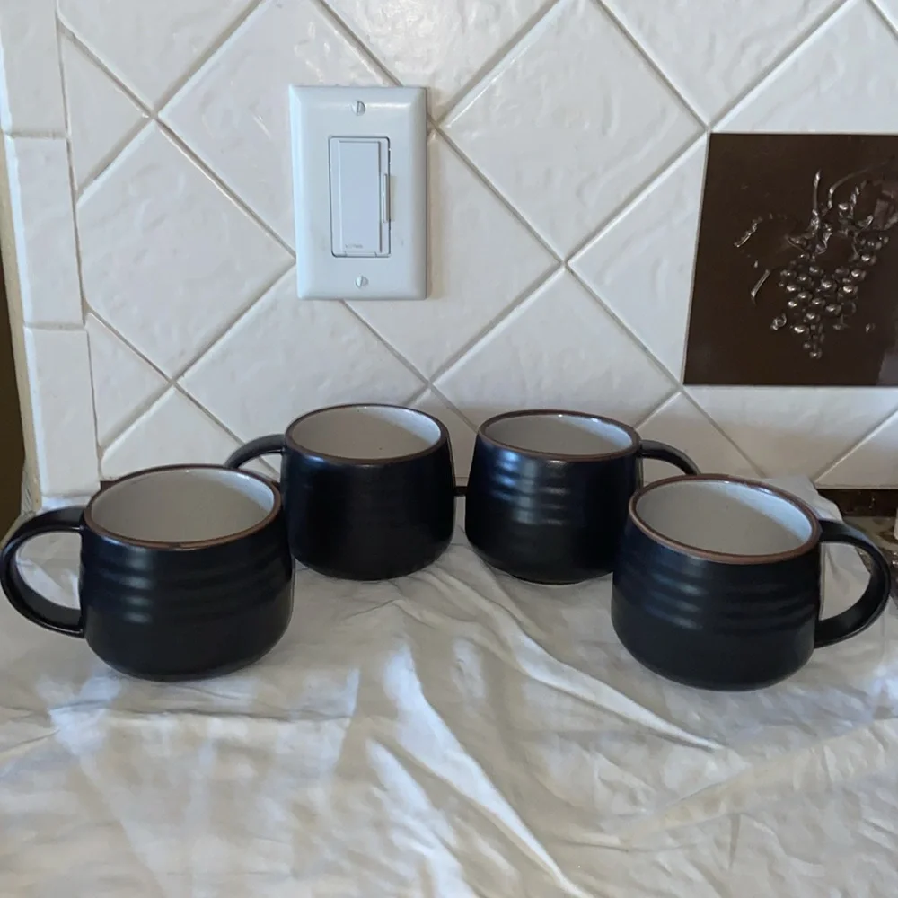 Like new set of 4 Crate & Barrel 18th Street Mugs Boho Rustic Stoneware